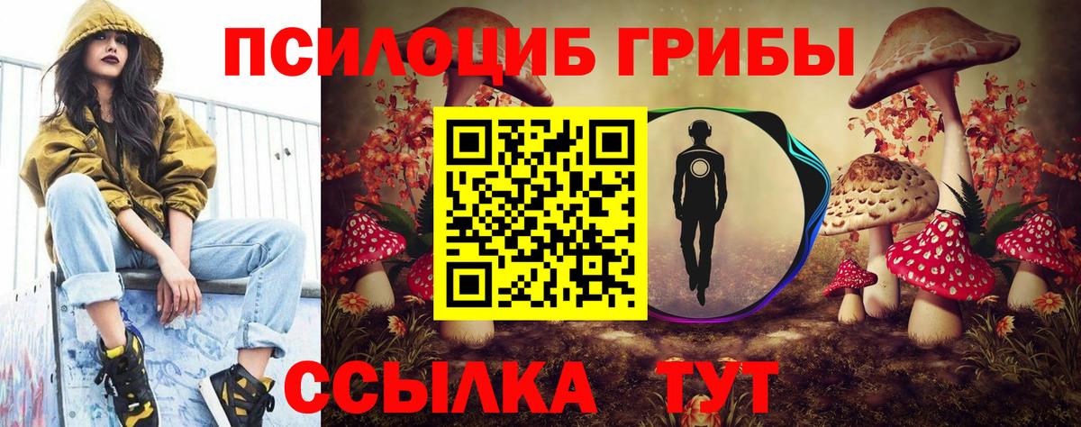 Псилоцибиновые грибы Cubensis  Вход с VPN  Евпатория  Псилоцибиновые грибы Psilocybine cubensis 