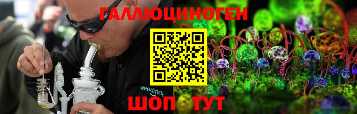 Галлюциногенные грибы прущие грибы Евпатория